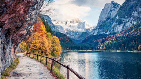 Wallpaper Desktop, Nature, Forest, View, Orange, Leafed, Yellow, White, Green, Rocks, Mountains, Landscape, Covered, Mobile, Fence, Trees, River