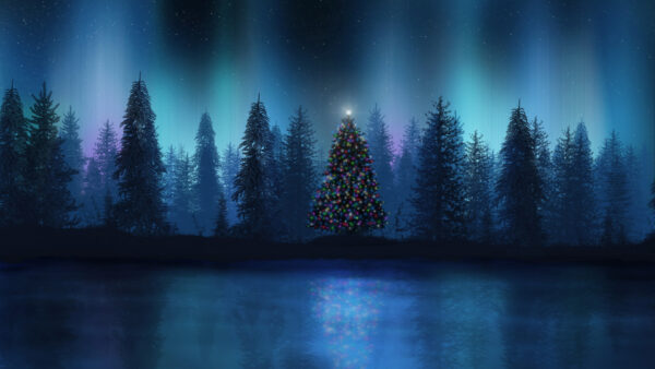 Wallpaper And, Christmas, Desktop, Lake, Nature, Night, Tree, During, Winter