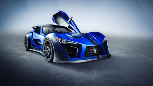 Wallpaper 2020, CB7R, Felino