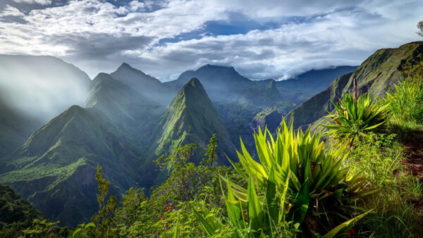 Wallpaper Desktop, Nature, View, Green, Landscape, Plants, White, Mobile, Cloudy, Mountains, Under, Covered, And, With, Fog, Closeup, Sky