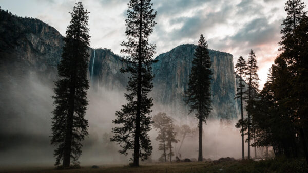 Wallpaper Fog, Desktop, Trees, Mountain, Covered, Forest, And, Mobile
