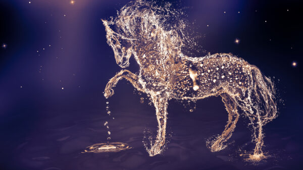 Wallpaper Horse, Desktop, Mobile, Water, Artistic