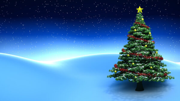 Wallpaper Sky, With, Starry, Stars, Tree, Blue, Christmas, Background, Desktop