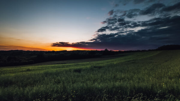 Wallpaper Field, Sky, Nature, Clouds, View, Trees, Sunset, During, Grass, Under, Mobile, Blue, Black, Green, Forest, Desktop, Landscape