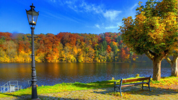 Wallpaper Autumn, Between, Nature, Grass, Sky, Bench, Leafed, Under, Forest, Colorful, Trees, Blue, Green, River, And, Land