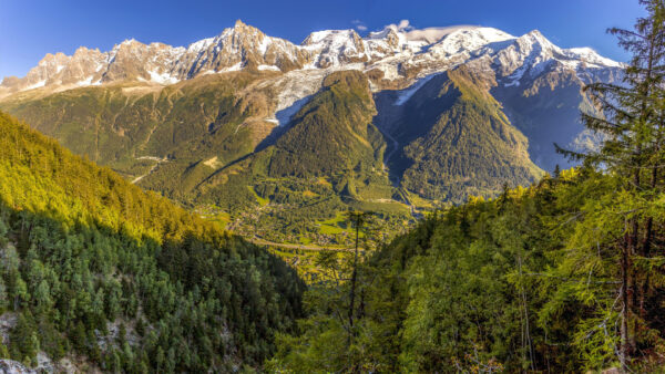 Wallpaper Forest, White, Sky, Nature, Beautiful, Background, Scenery, Under, Blue, Mountains, View