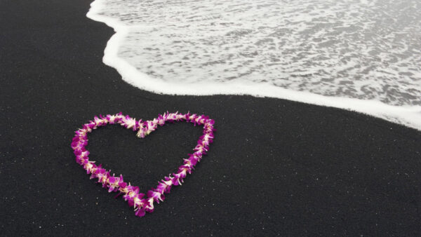 Wallpaper Heart, Shape, Beach, Flowers, Valentines, Sand