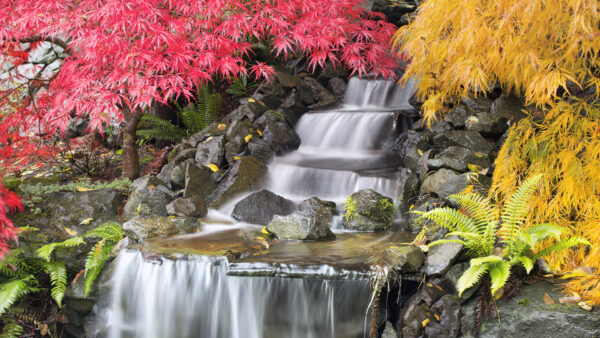 Wallpaper Red, Waterfalls, Leaves, Fall, Stream, Yellow, Between, Trees, Stones