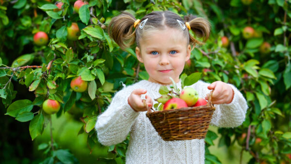 Wallpaper Blue, Cute, Bamboo, With, Wearing, Basket, White, Eyes, Little, Girl, Standing, Apple, Dress