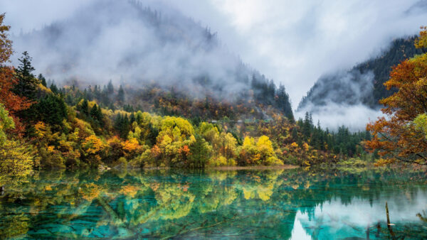 Wallpaper Mountain, Landscape, Nature, View, Colorful, Reflection, Trees, Leaves, River, Autumn, Foggy