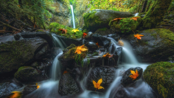 Wallpaper Stream, Nature, Waterfall, Greenery, Mountain, View, Landscape, Rocks, From