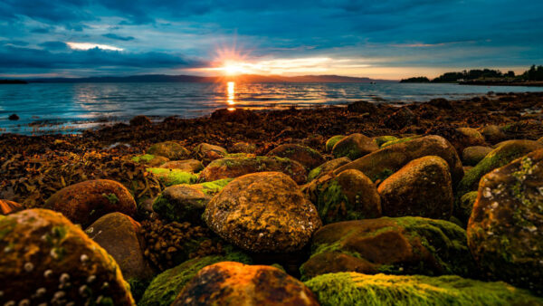 Wallpaper Stones, Clouds, Sunset, White, Algae, Reflection, Covered, Blue, Under, Sky, Water, Ocean, During