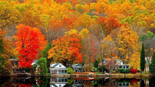 Wallpaper Fall, Water, Leafed, Autumn, Houses, Trees, Colorful, Reflection, Desktop