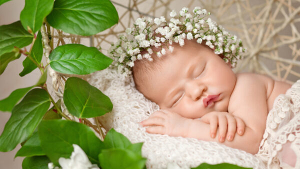 Wallpaper Cute, Beauty, Netted, Wearing, White, Baby, Sleeping, Cloth, Wreath