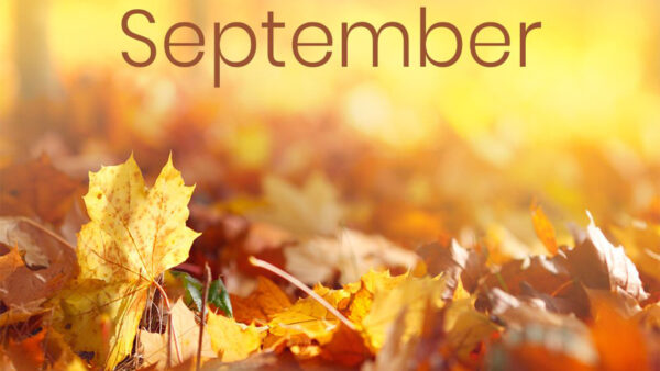 Wallpaper September, Autumn, Leaves, Blur, Word, Background