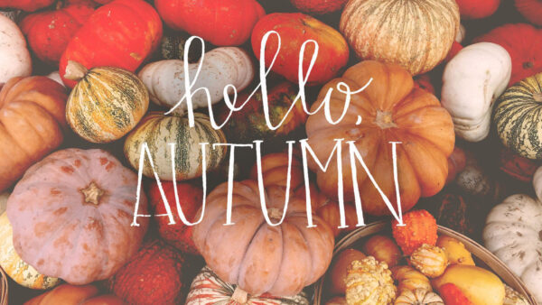 Wallpaper Hello, Colorful, October, Background, Autumn, Pumpkins, Word