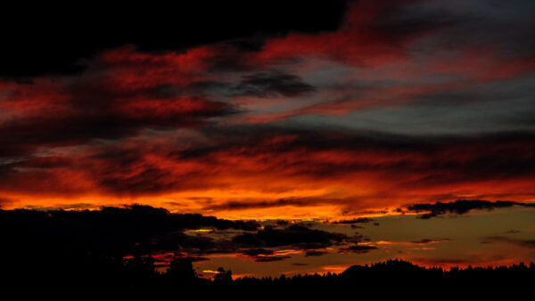Wallpaper During, Sunset, Sky, Background, Black, Clouds, Blue, Trees, Forest, Under, Dark