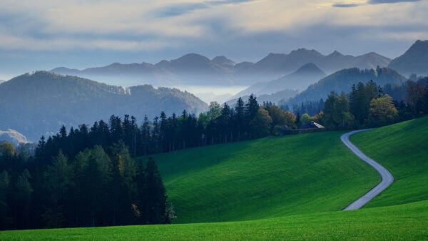 Wallpaper Mobile, During, Green, Background, Fall, Desktop, Clouds, With, And, Grass, Mountain, Nature, Field, Forest, Road