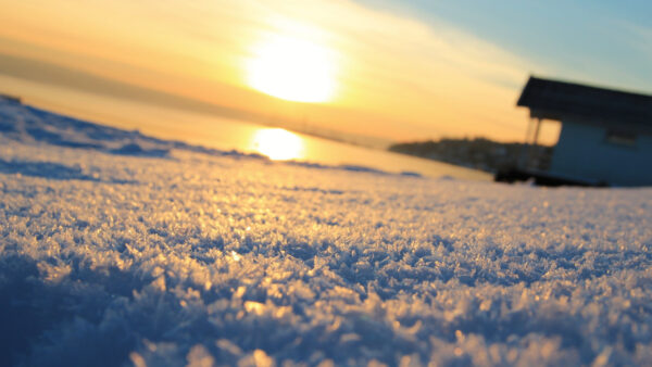 Wallpaper View, Frost, Nature, Snow, Desktop, Sunset, Mobile, During, Eye, Worm’s