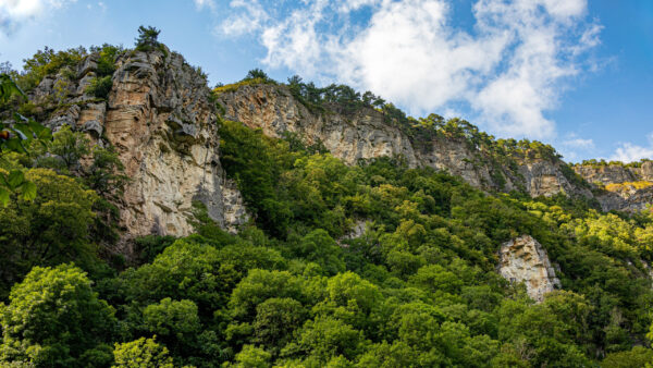 Wallpaper Covered, Sky, Desktop, Trees, Nature, White, Under, Rock, Cloudy