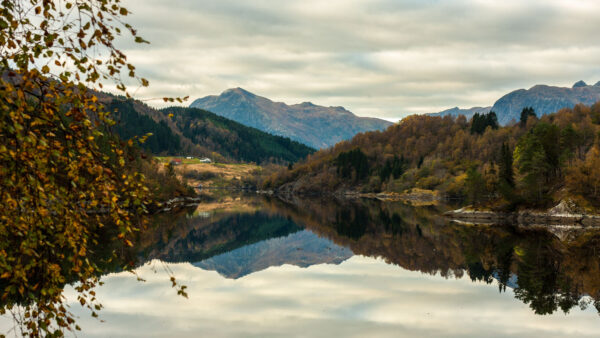 Wallpaper Surrounded, With, Nature, Mobile, Trees, Beautiful, Reflection, View, Desktop, Mountains, River, Colorful