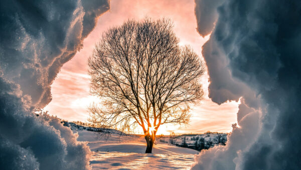 Wallpaper Snow, Landscape, Cave, Under, Beautiful, With, Colorful, Nature, Sky, View, Tree, Cloudy