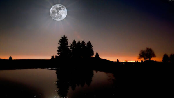 Wallpaper Background, Beautiful, Black, Nature