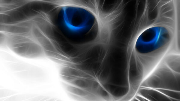 Wallpaper With, Cat, Eyes, Animation, Blue, Face, Artistic, Desktop