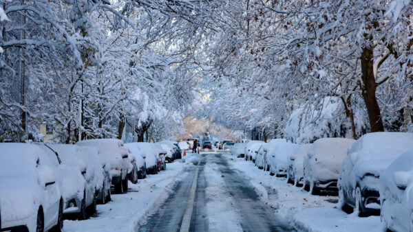 Wallpaper Photography, Snow, Tree, Cars, Road, Covered, Branches