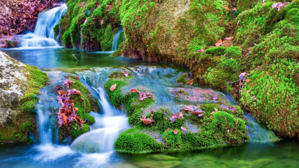 Wallpaper Covered, Rocks, Green, Waterfall, Scenery, Stream, Beautiful, Algae, Nature