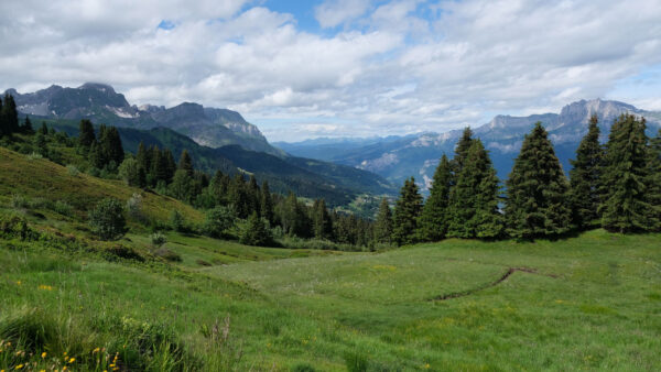 Wallpaper Green, Bushes, Grass, Plants, Desktop, Trees, Mountains, Background, Mobile, Blue, Sky, Slope, Under, White, Forest, Nature, Clouds
