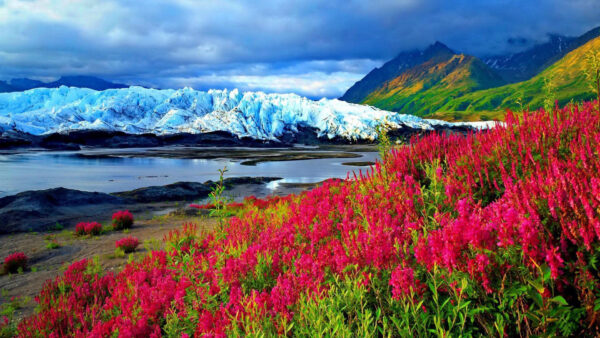 Wallpaper Mountains, Landscape, View, Snow, Clouds, River, Sky, Pink, Blue, Green, Plant, Under, Flowers, Covered, Mountain, With, Spring, Nature, Frozen