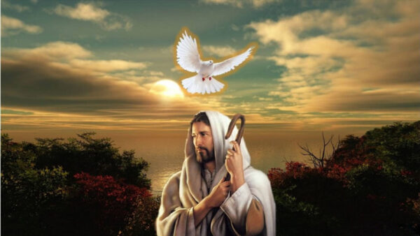 Wallpaper Top, Jesus, Flying, Pigeon, Clouds, Sky, White, Background, Blue