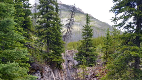 Wallpaper Mountain, Nature, Background, Sky, Trees, Rock, Slope, Green, Grass