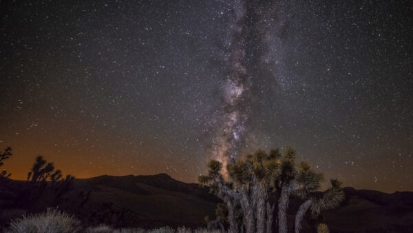 Wallpaper Dark, Desktop, Trees, Mountain, And, With, Sky, Under, Space, Stars