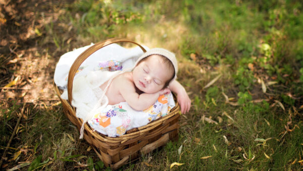 Wallpaper Inside, Basket, Sleeping, Grass, Baby, Cute, Green, White, Bed, Child, Bamboo