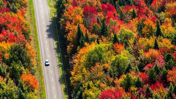 Wallpaper During, Yellow, Between, Trees, View, Leaves, Orange, Road, Autumn, Red, Aerial, Green, Daytime