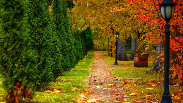 Wallpaper Green, Park, Leaves, Autumn, Red, Road, Lantern, Trees