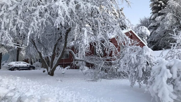 Wallpaper Tree, Car, Snow, House, Branches, Swing, Covered, Winter