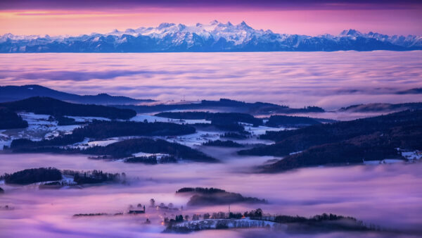Wallpaper Sky, Mountains, Forest, Fog, Background, Covered, Purple, Trees, Nature, Snow, With