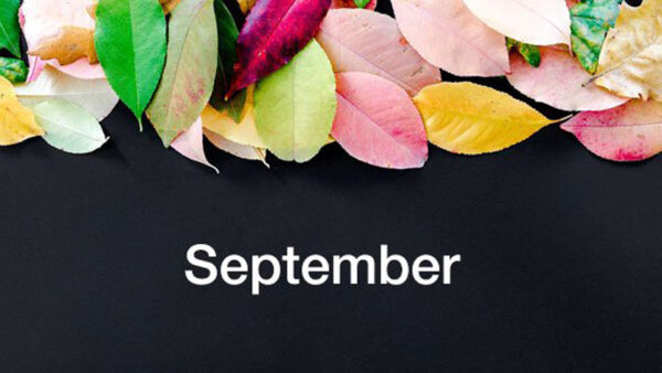 Wallpaper Black, September, Background, Leaves, Colorful, Word