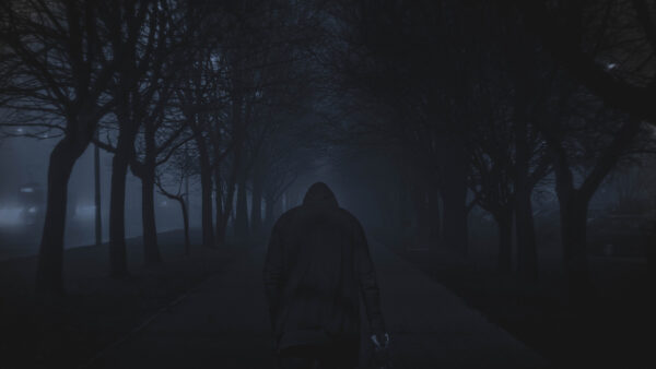 Wallpaper Person, Trees, Between, Pc, Dark, Wallpaper, 4k, Background, Black, Desktop, 5k, Walking, Images