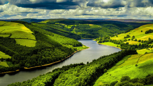 Wallpaper Trees, Under, Sky, Hills, Forest, Mobile, River, Cloudy, Desktop, Nature, Landscape, Photography, Green