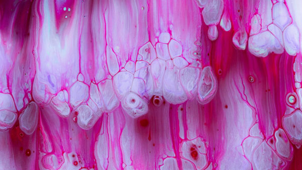 Wallpaper Art, Paint, Desktop, Abstract, Pink, Stains, Fluid