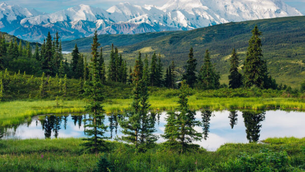 Wallpaper Background, Surrounded, Mountains, Beautiful, Trees, Nature, Bushes, Covered, White, Grass, Scenery, Green, Lake