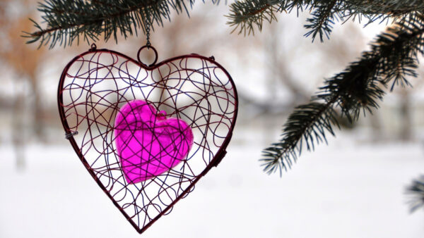 Wallpaper Love, Heart, Background, Shape, Purple, Blur