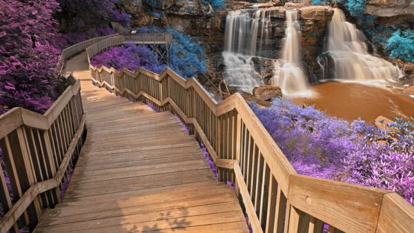 Wallpaper River, Pouring, Stones, Leaves, Wood, Purple, Nature, Waterfalls, Plants, Steps