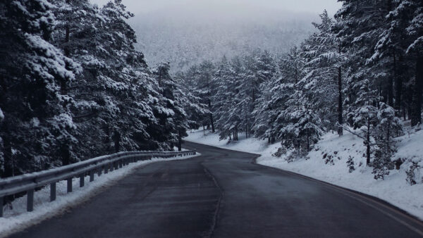 Wallpaper Winter, Covered, Road, With, Trees, Forest, Fence, Scenery, Between, Fog, Snow