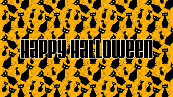 Wallpaper Cats, Happy, Cute, Black, Halloween