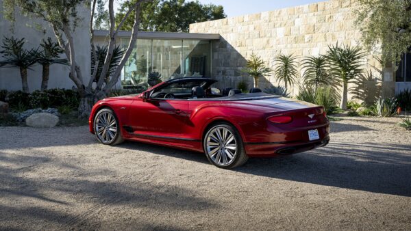 Wallpaper Convertible, 2022, Continental, Speed, Cars, Bentley